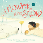 A Flower in the Snow