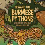 Beware the Burmese Pythons and Other Invasive Animal Species