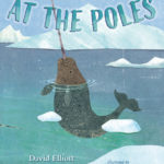 At the Poles