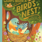 What’s Inside a Bird’s Nest?