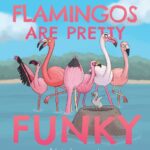 Flamingos are Pretty Funky
