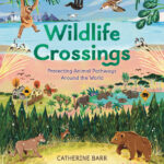 Wildlife Crossings