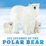 Ice Journey of the Polar Bear